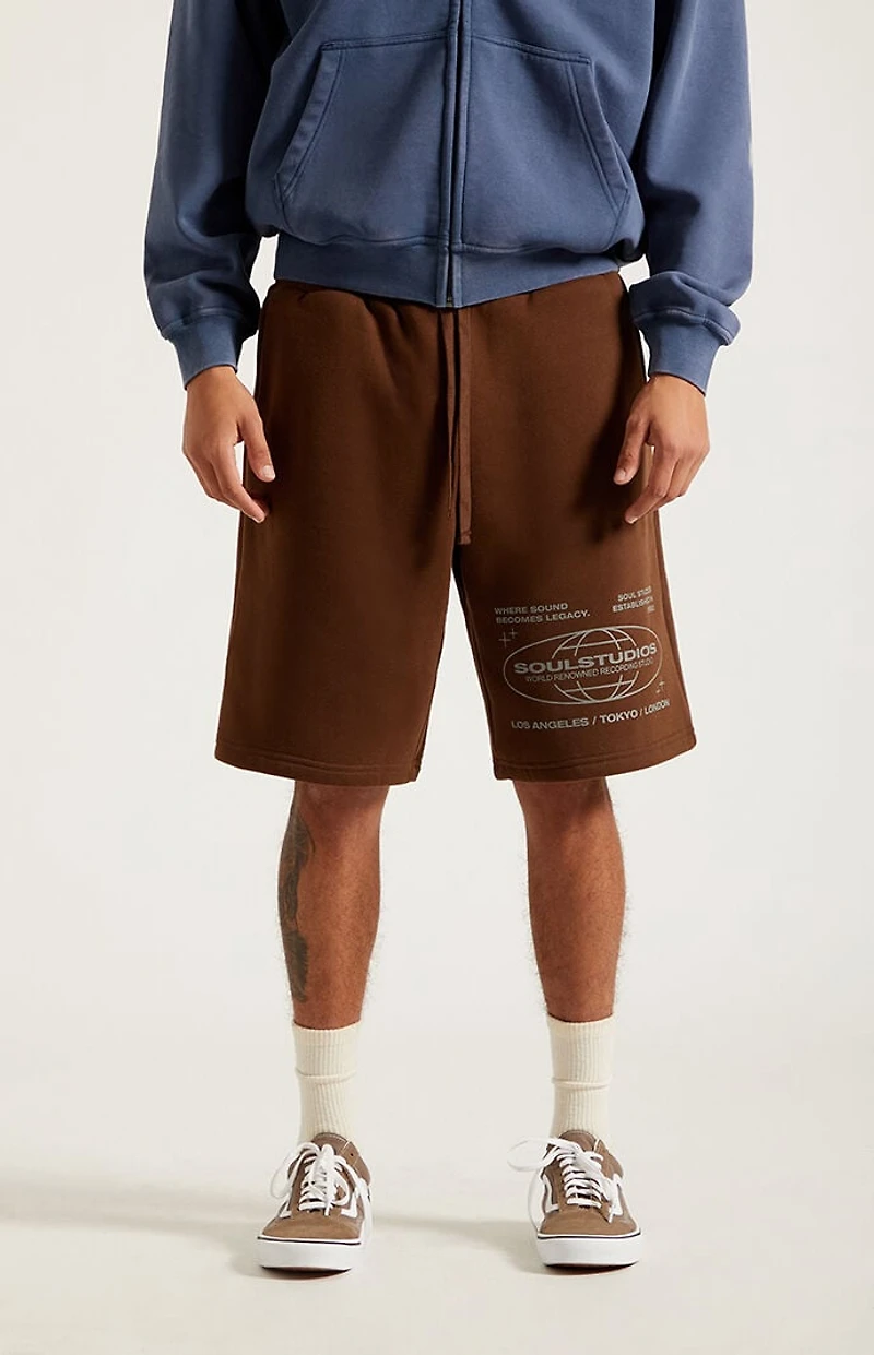 Pacsun Soul Studios Fleece Baggy Sweat Shorts