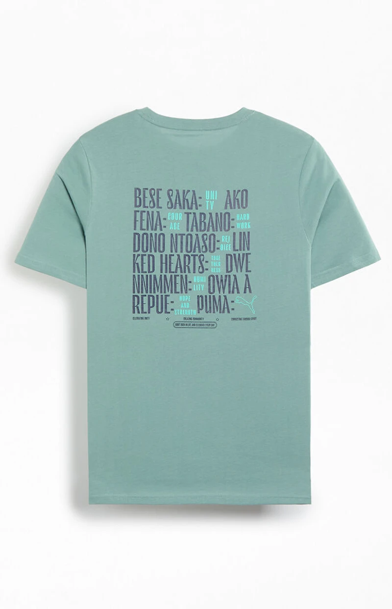 Puma Road To Unity Values T-Shirt