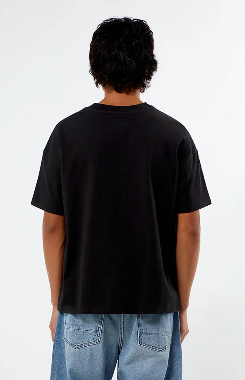 Pacsun Ram Cropped Boxy T-Shirt