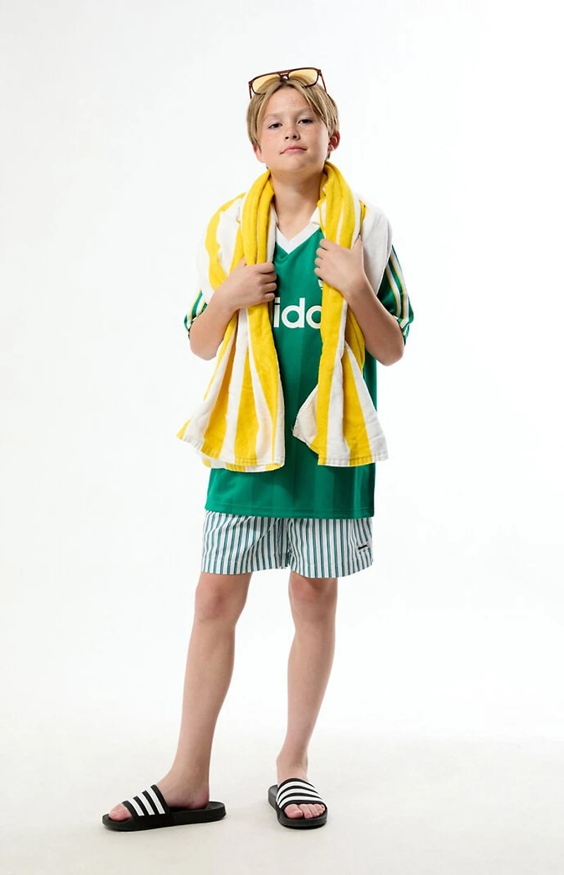 Pacsun Kids Striped 4.5" Swim Trunks