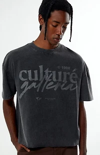 Pacsun Culture Galleria Cropped T-Shirt
