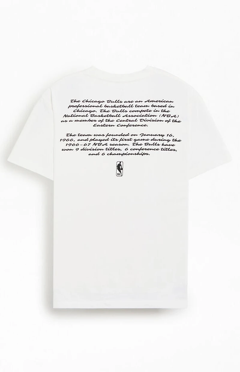 Chase B x NBA Chicago Bulls Logo T-Shirt