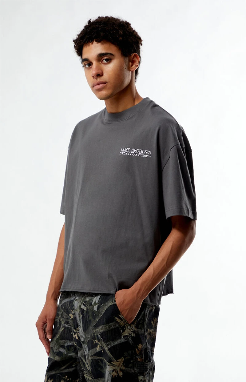 Pacsun Lost Archives Cropped Boxy T-Shirt