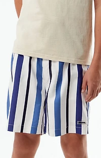 Pacsun Kids Roosevelt Striped 4.5" Swim Trunks