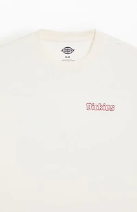 Dickies Fairlawn T-Shirt