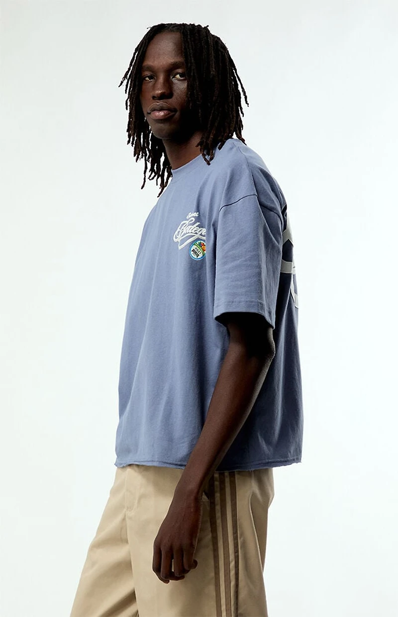 Pacsun Bodega Applique Cropped Boxy T-Shirt