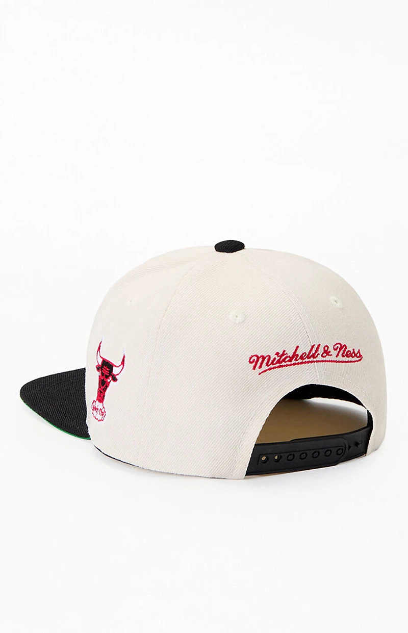 Mitchell & Ness Kids Chicago Bulls Across The Board Snapback Hat