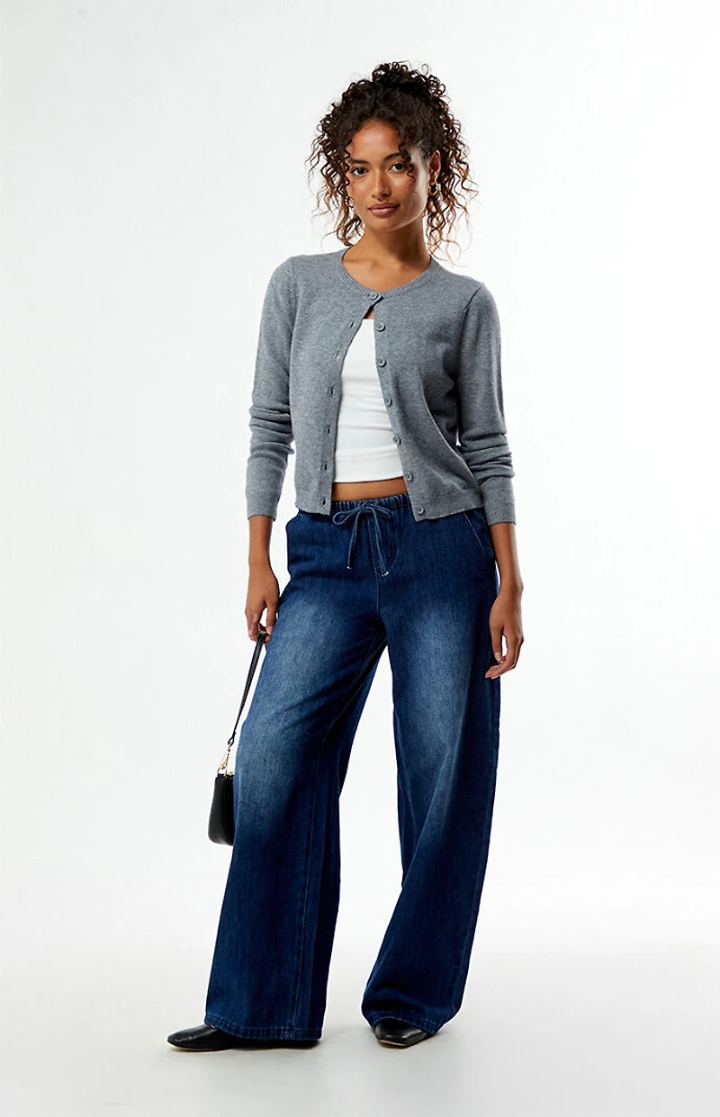 Pacsun Easy Baggy Denim Pants