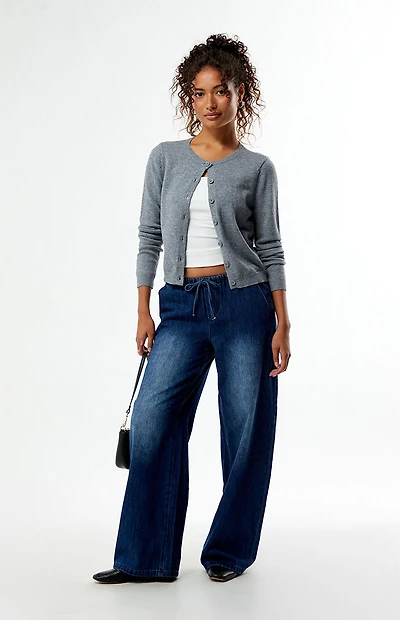 Pacsun Easy Baggy Denim Pants