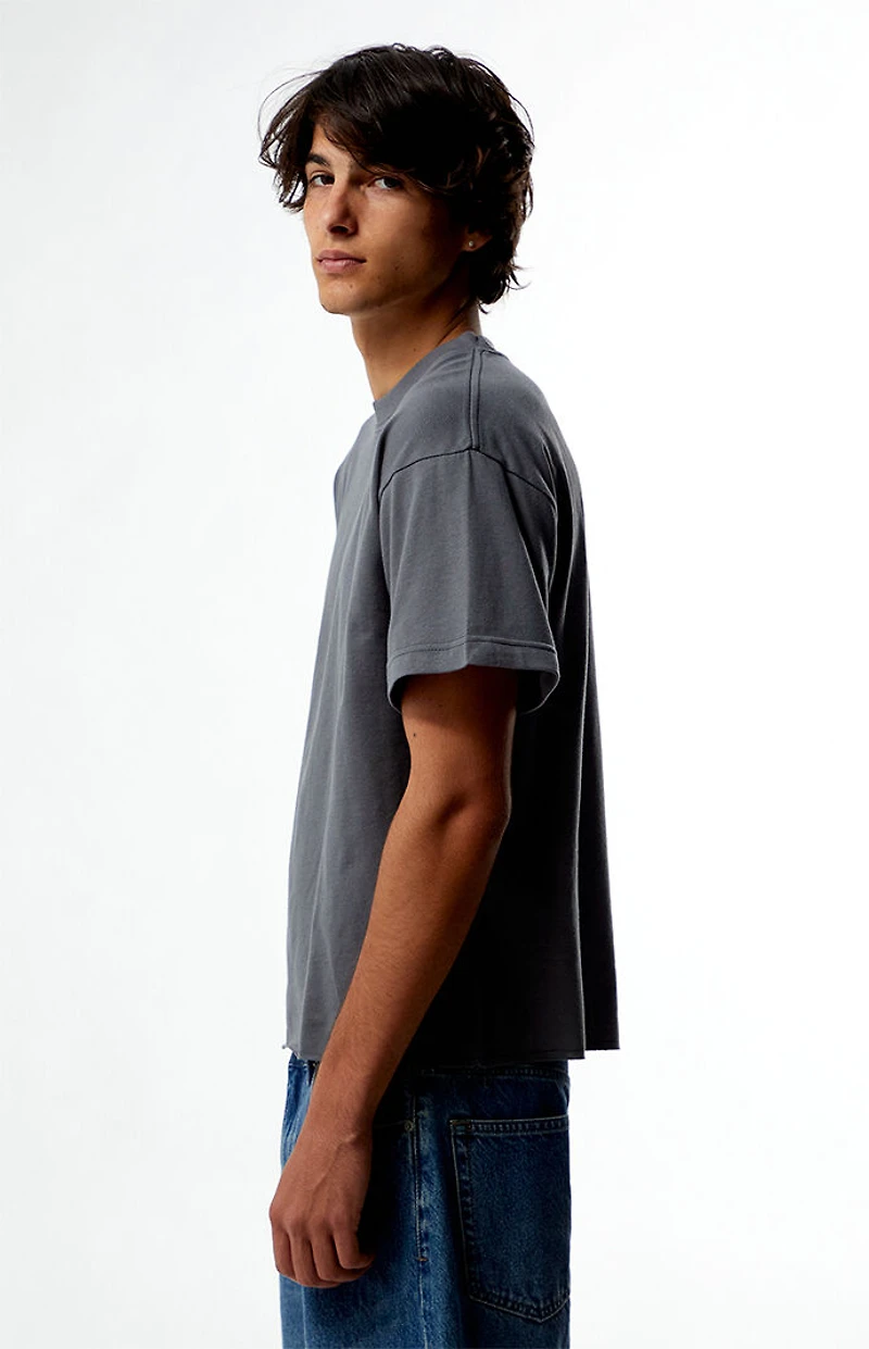 Pacsun Premium Cropped T-Shirt