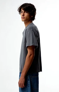 Pacsun Premium Cropped T-Shirt