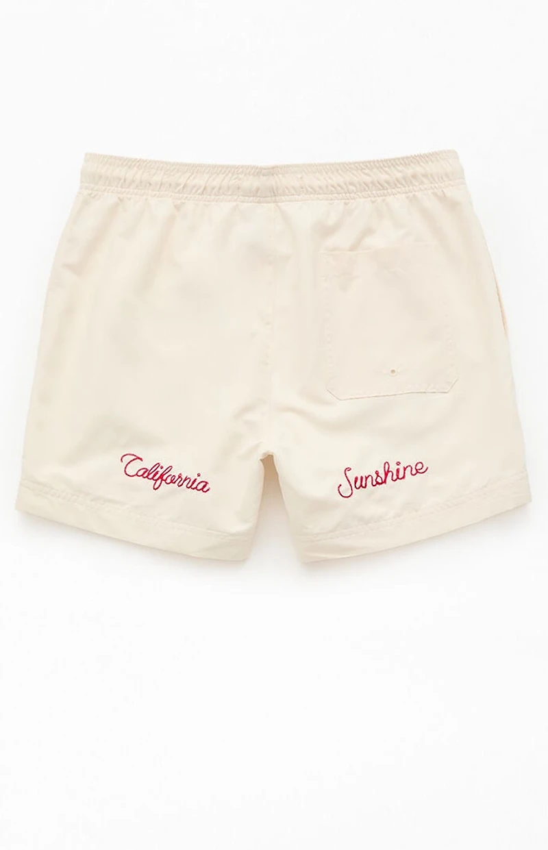 Pacsun Pebble Applique 4.5" Swim Trunks
