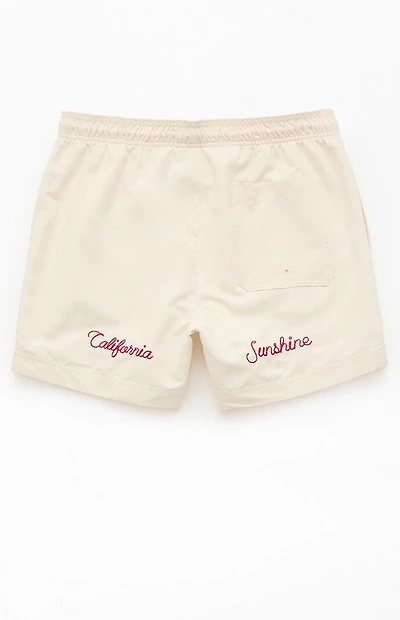 Pacsun Pebble Applique 4.5" Swim Trunks