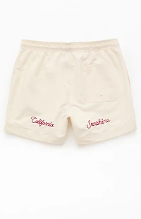 Pacsun Pebble Applique 4.5" Swim Trunks