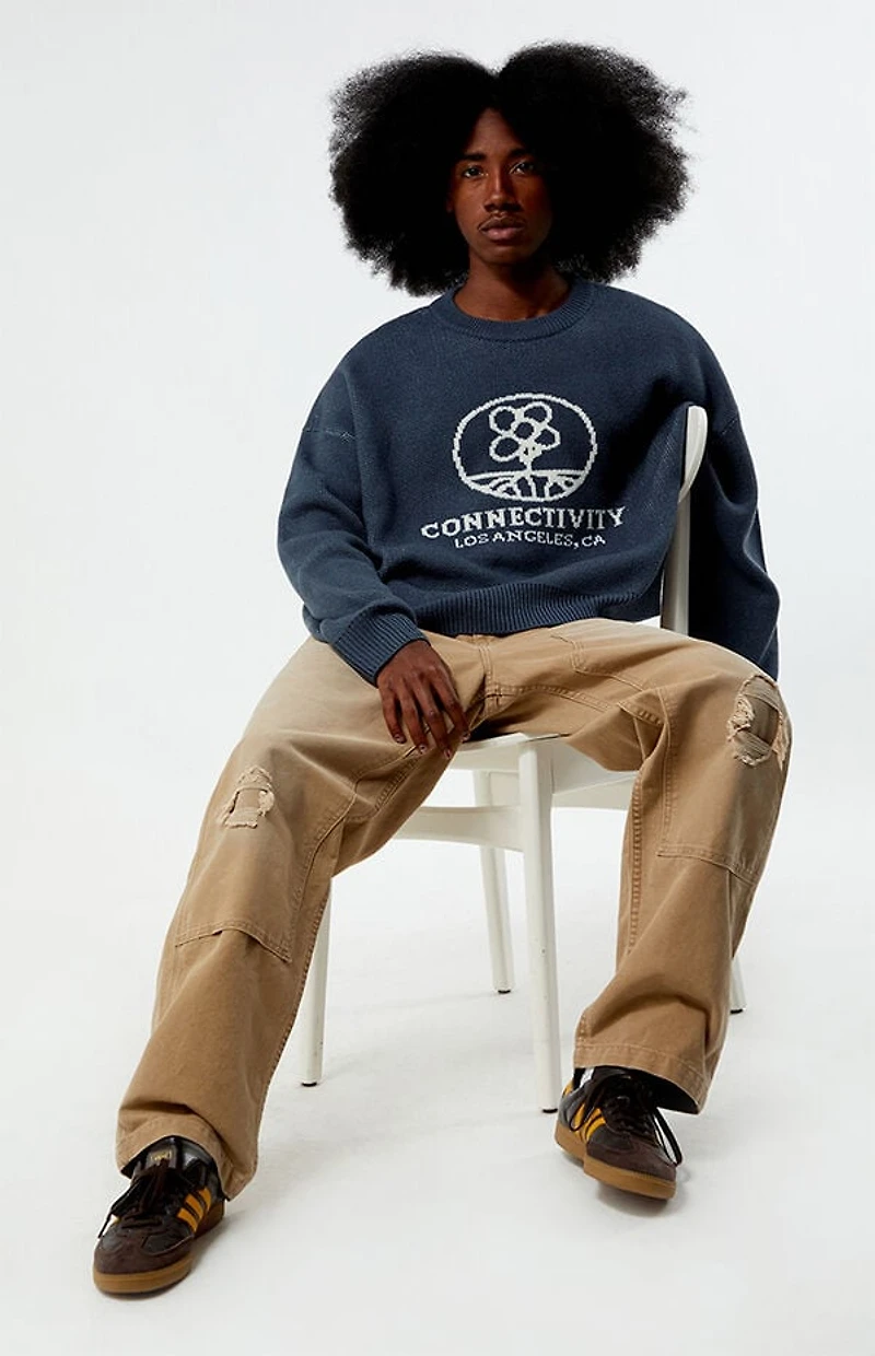 Pacsun Connectivity Cropped Sweater