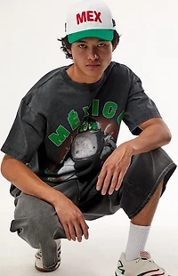 FIFA World Cup Team Mexico Dog T-Shirt