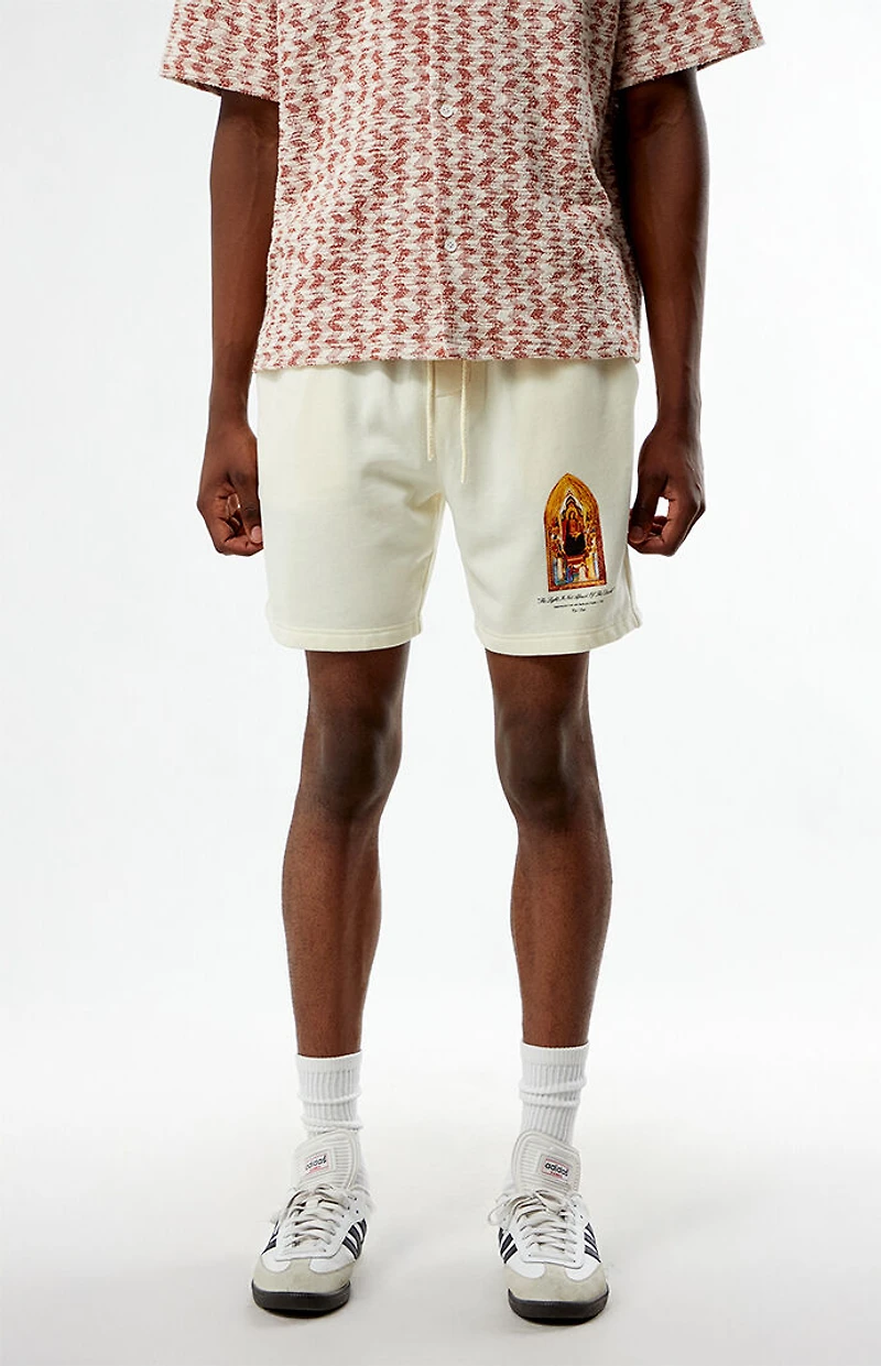 Pacsun Madonna Fleece Sweat Shorts