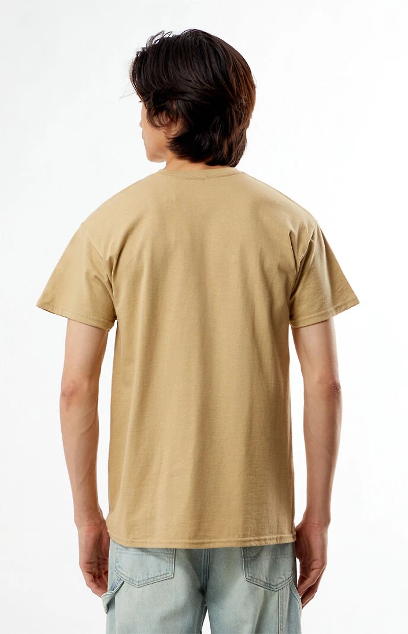 Pacsun New York Puff Graphic T-Shirt