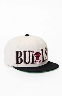 Mitchell & Ness Kids Chicago Bulls Across The Board Snapback Hat