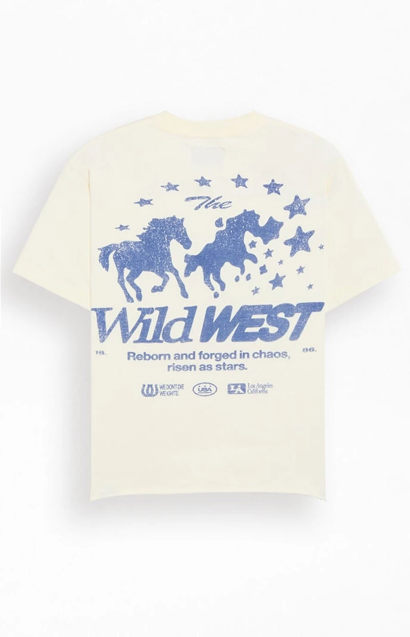 Pacsun Wild West Cropped T-Shirt