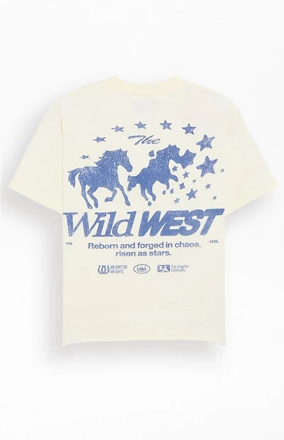 Pacsun Wild West Cropped T-Shirt