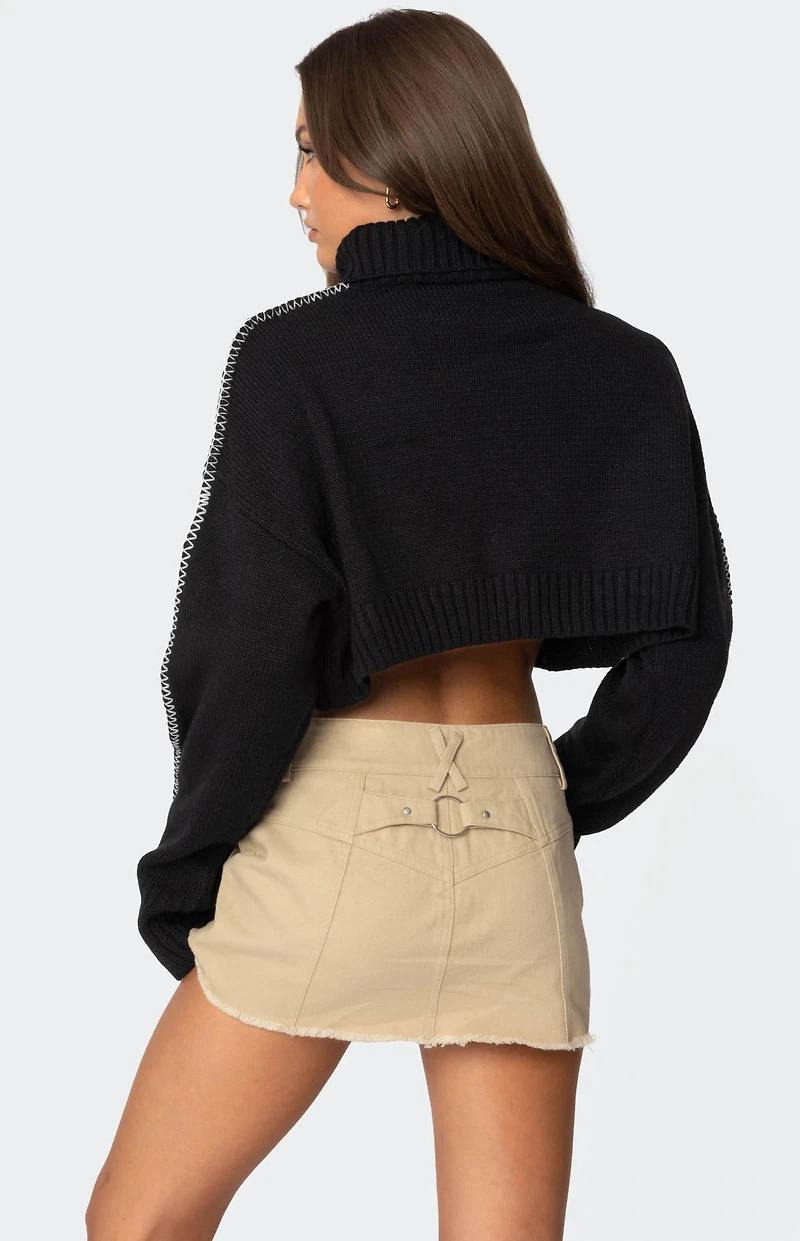 Edikted Embroidered Edge Cropped Turtle Neck Sweater