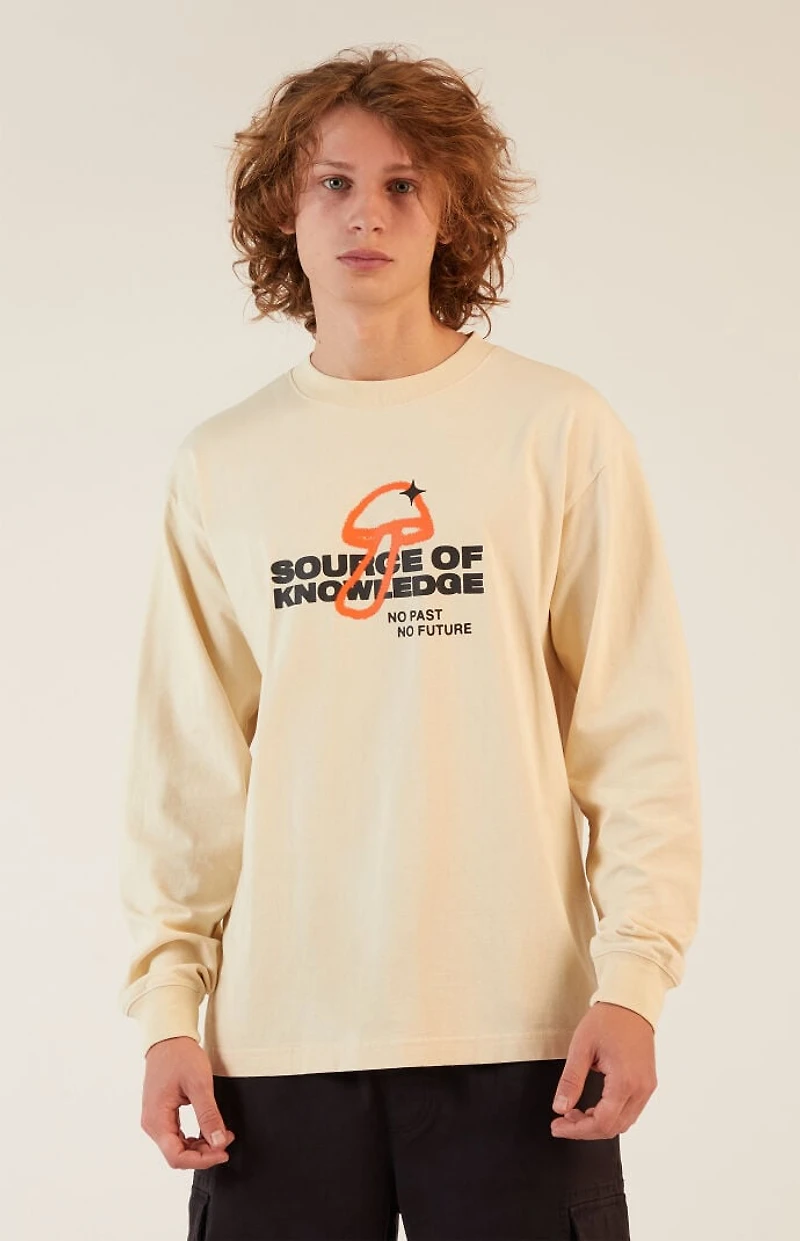 Pacsun Source Of Knowledge Long Sleeve T-Shirt