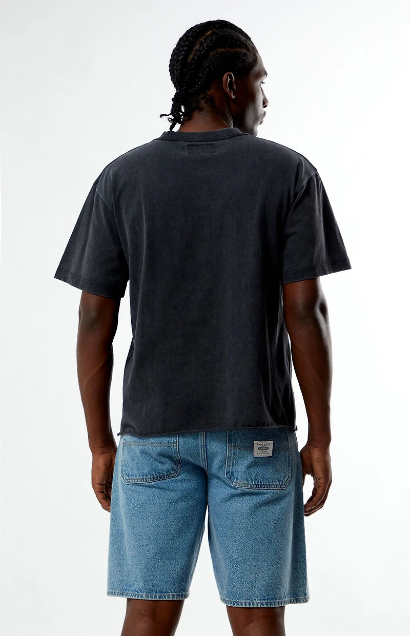 Pacsun Madness Country Cropped T-Shirt