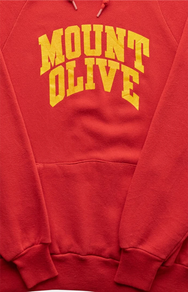 PS VINTAGE 80s Mount Olive Pullover Hoodie