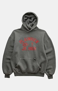 PS VINTAGE 2000s Plainview Jr High Pullover Hoodie