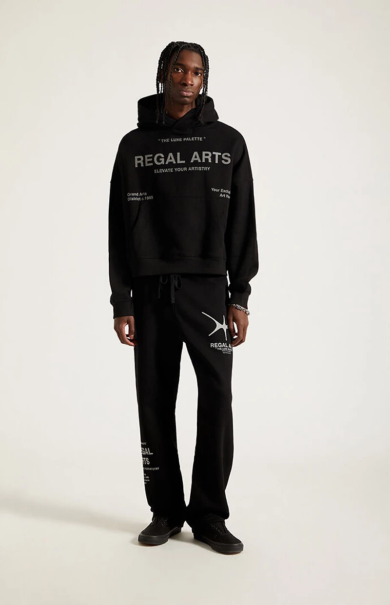 Pacsun Regal Arts Baggy Sweatpants