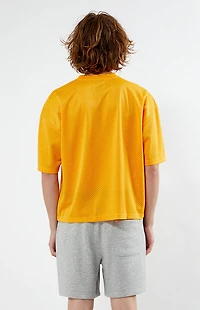 Pacsun Leagues Mesh Boxy Cropped Jersey T-Shirt