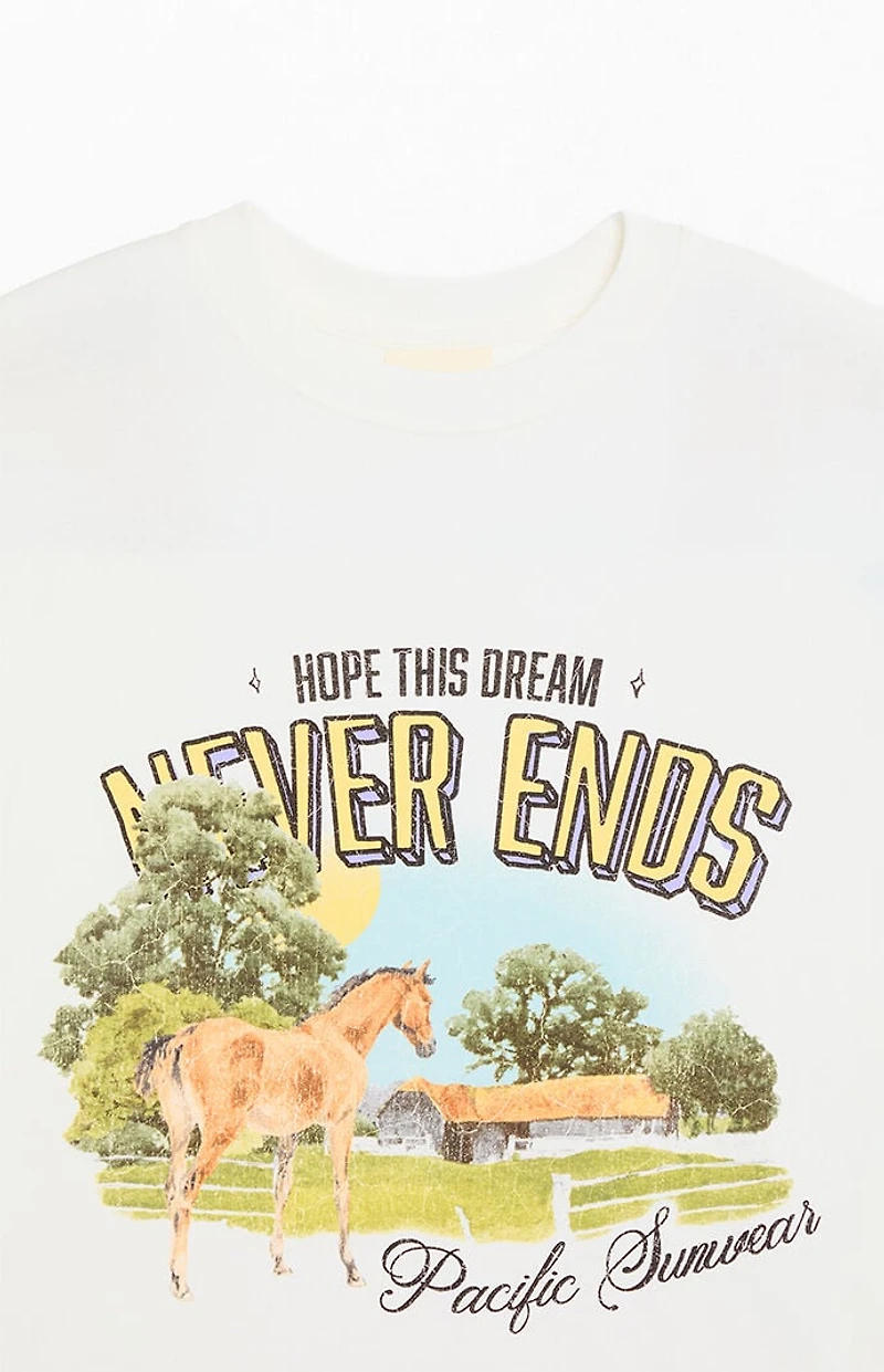 Pacsun Dream Never Ends T-Shirt