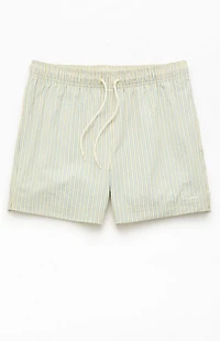 Pacsun Smiley Stripe Seersucker 4.5" Swim Trunks