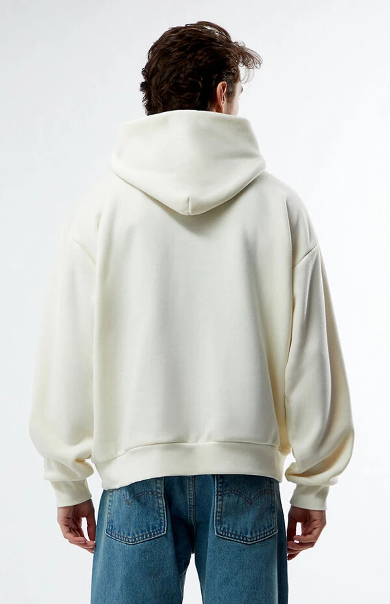 Pacsun Solid Hoodie
