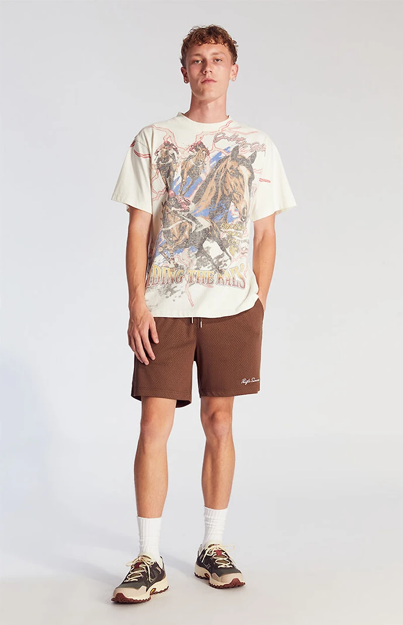 Pacsun Brown Mesh Basketball Shorts