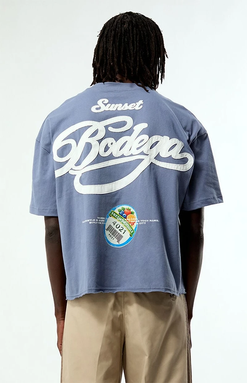 Pacsun Bodega Applique Cropped Boxy T-Shirt