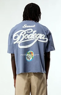 Pacsun Bodega Applique Cropped Boxy T-Shirt