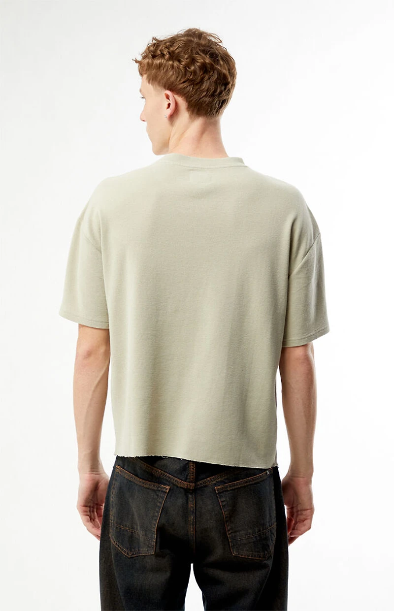 Pacsun Dark Desert Waffle Knit T-Shirt