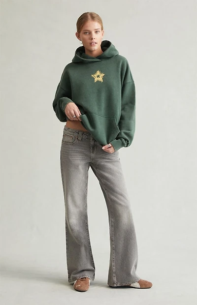 Pacsun Charlie Low Rise Baggy Bootcut Jeans Gray