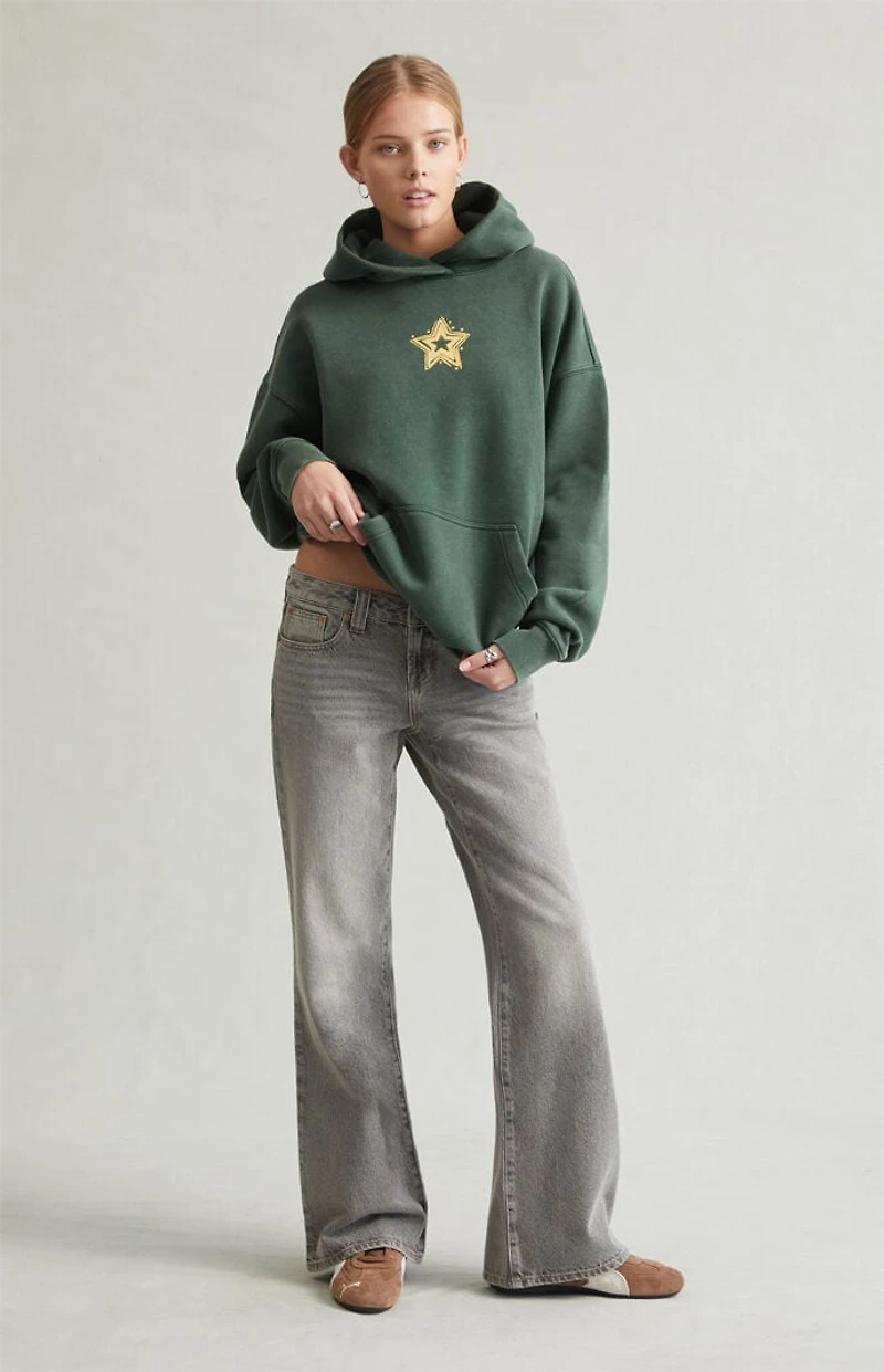 Pacsun Charlie Low Rise Baggy Bootcut Jeans Gray