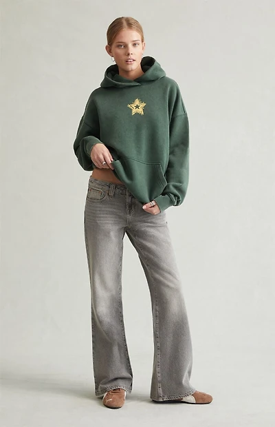 Pacsun Charlie Low Rise Baggy Bootcut Jeans Gray