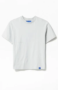 A.R.C. Gray Vintage Wash Heavyweight Cropped Boxy T-Shirt
