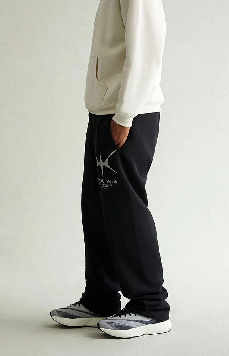 Pacsun Regal Arts Baggy Sweatpants