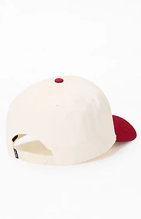 Brixton Save A Horse Netplus Snapback Hat