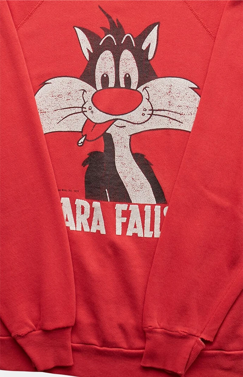 PS VINTAGE 90s Niagara Falls Looney Tunes Crew Neck Sweatshirt
