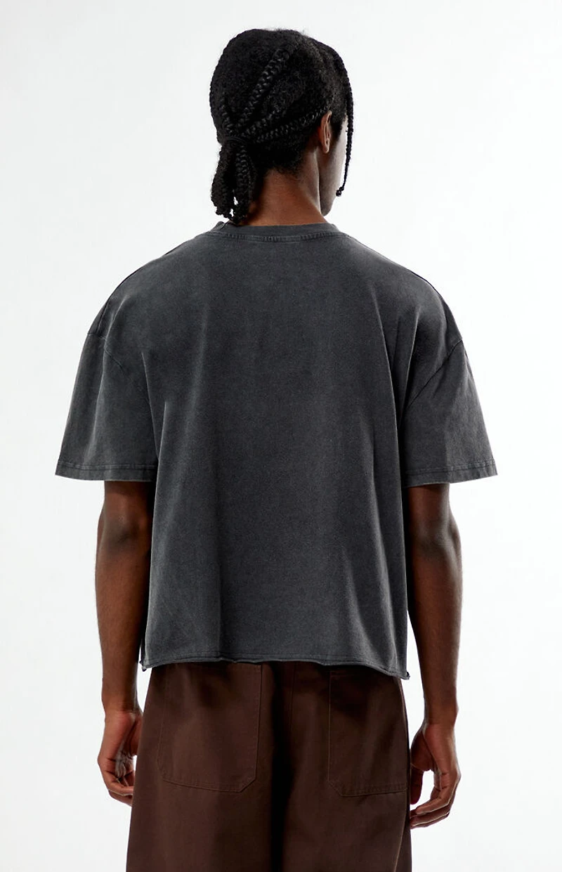 Pacsun Culture Galleria Cropped T-Shirt