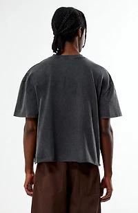 Pacsun Culture Galleria Cropped T-Shirt