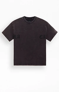 Pacsun Stone T-Shirt