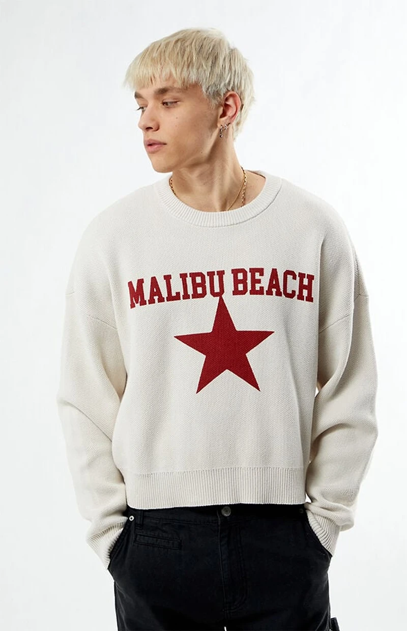 Pacsun Malibu Beach Sweater
